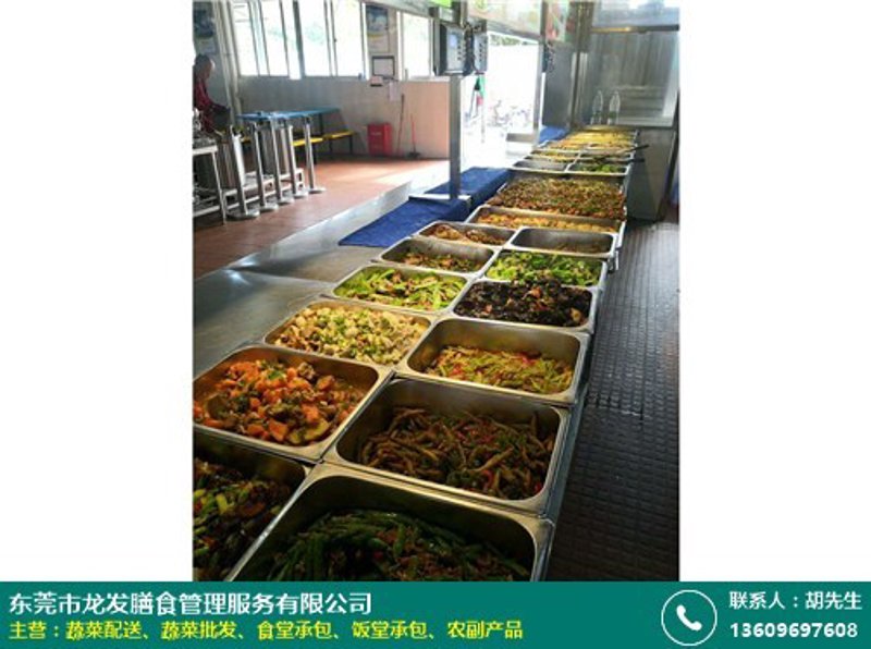 广州众发餐饮：选择最佳的餐饮运营策划公司